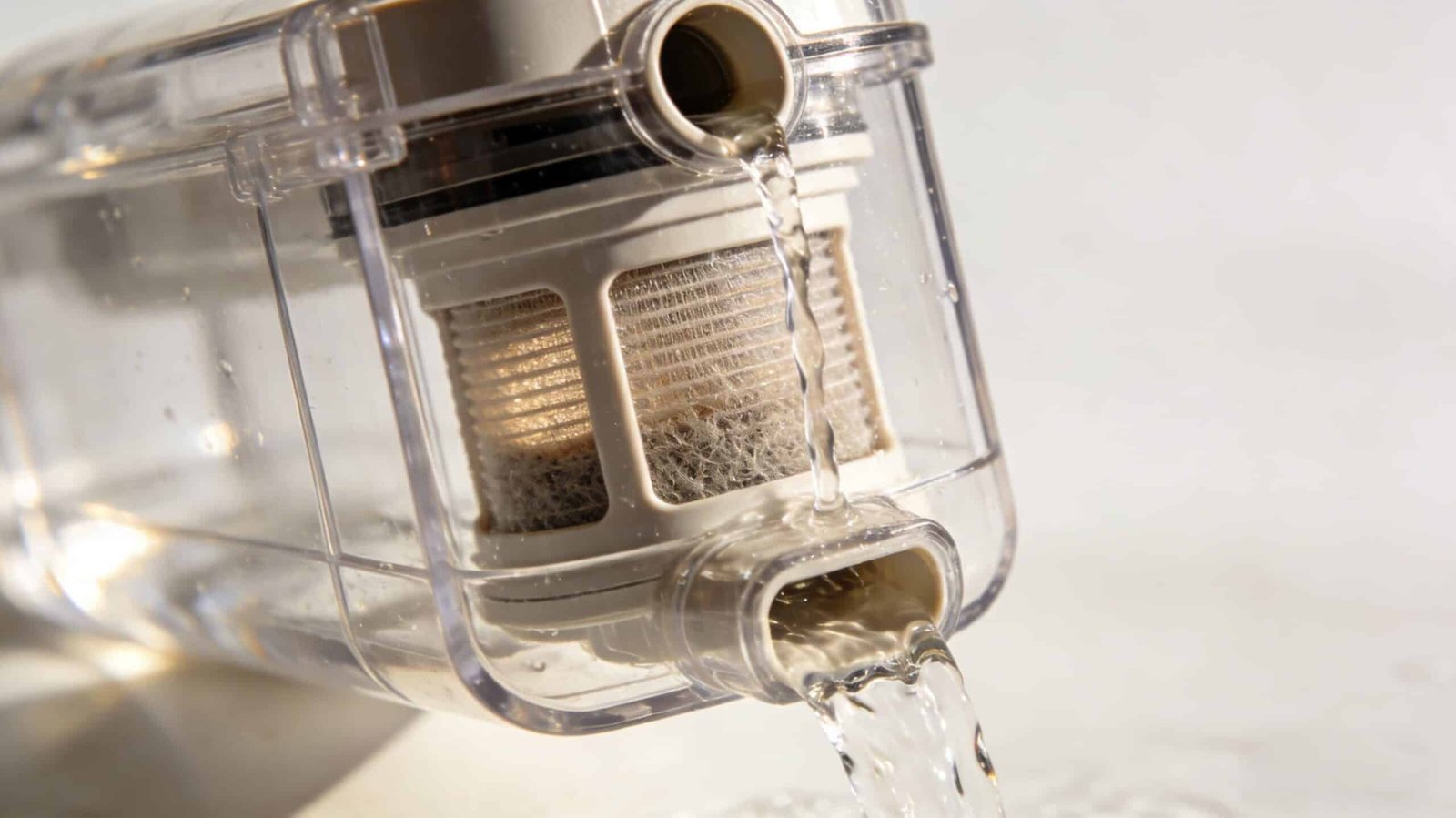 Advanced filtration and ozone sterilization for cold plunge systems