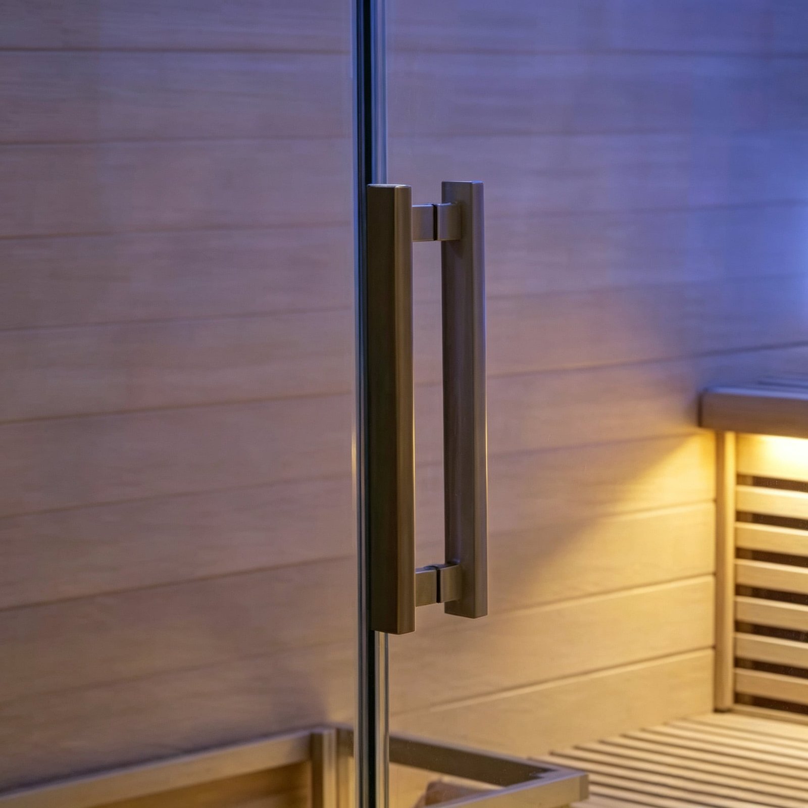 OMNI Ice Elio-6 sauna glass door and handle detail